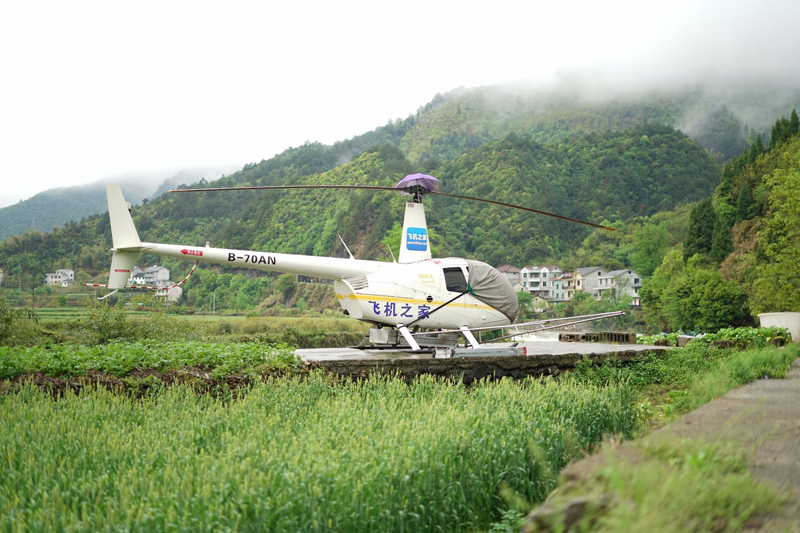 浙江杭州山核桃农户租直升机进行农林喷洒作业